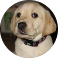 Clarence Grady Avatar